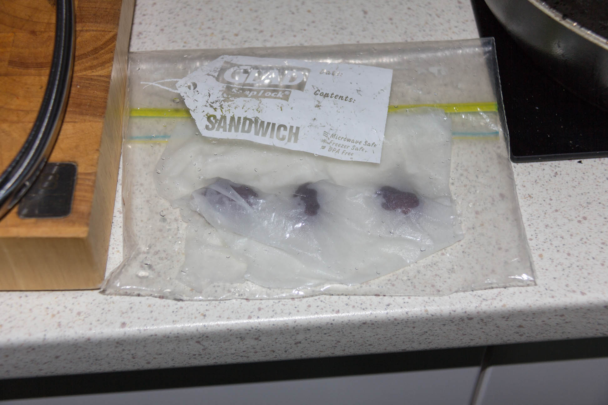 01/01/15 Day 1: Lychee seed germination experimentation Put fresh seeds into a zip lock bag with damp paper towel in a dark warm place [a cupboard above the microwave]
