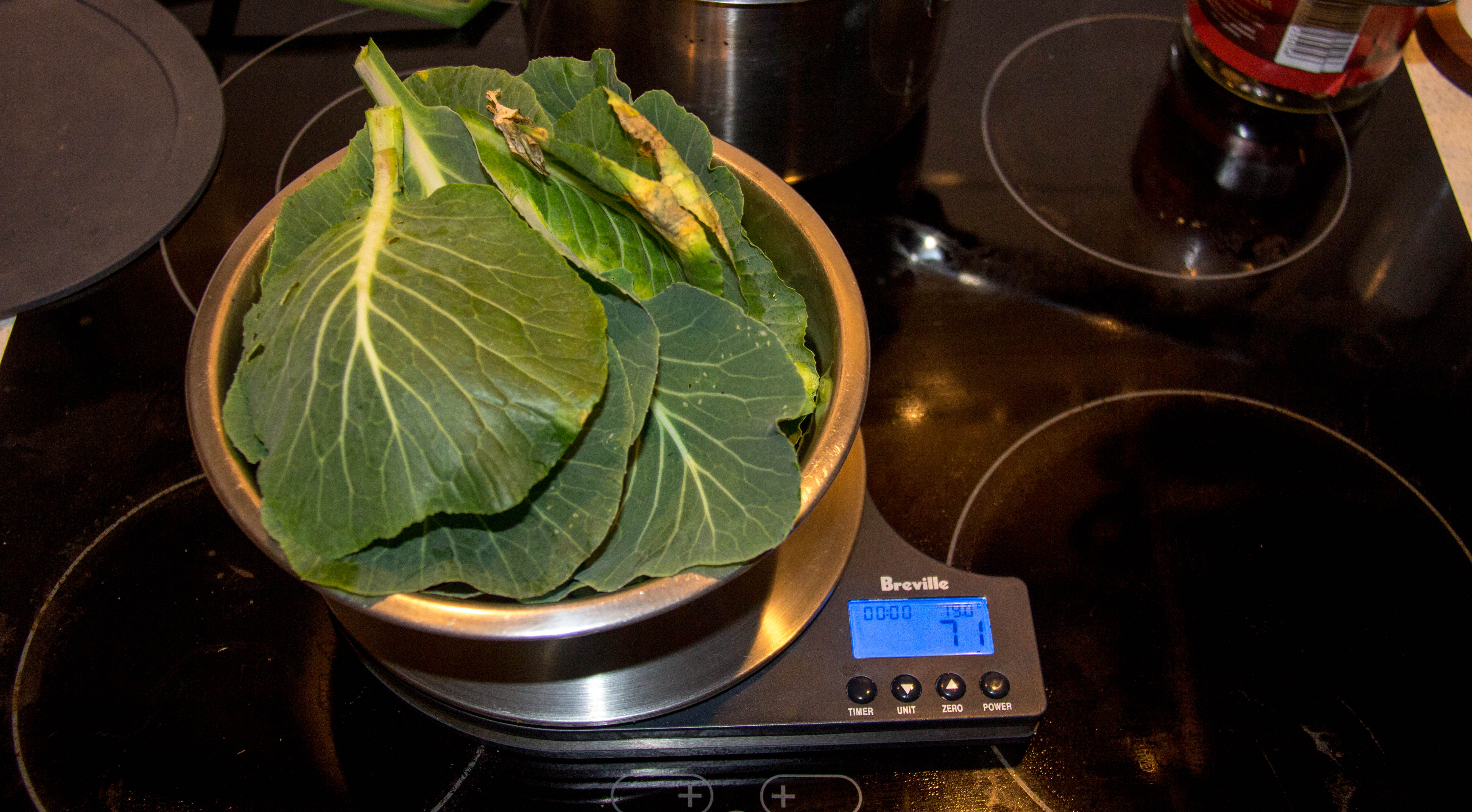 The great thing about store-bought re-grown or home-grown is how you can harvest the vegetable as and when you need it! Harvested 71 g of store-bought re-grown cabbage.