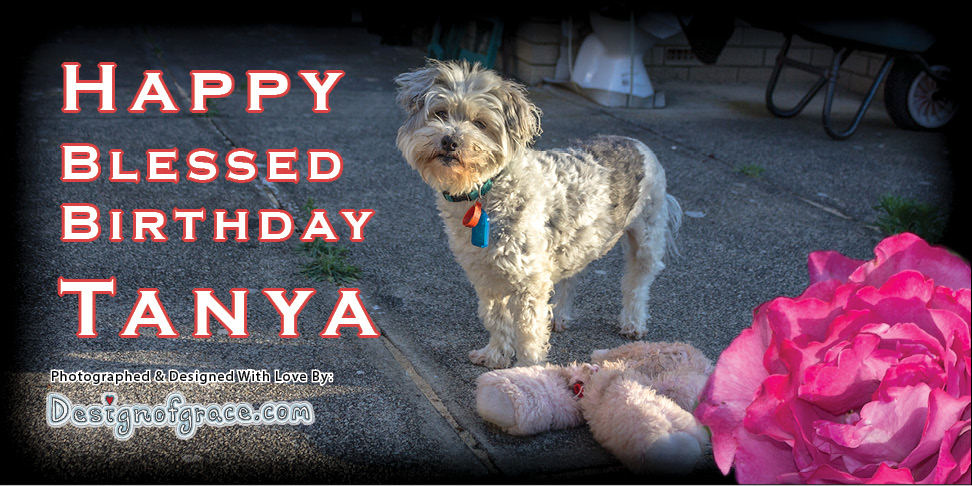 Penny Wishing Tanya A Very Blessed Birthday!
