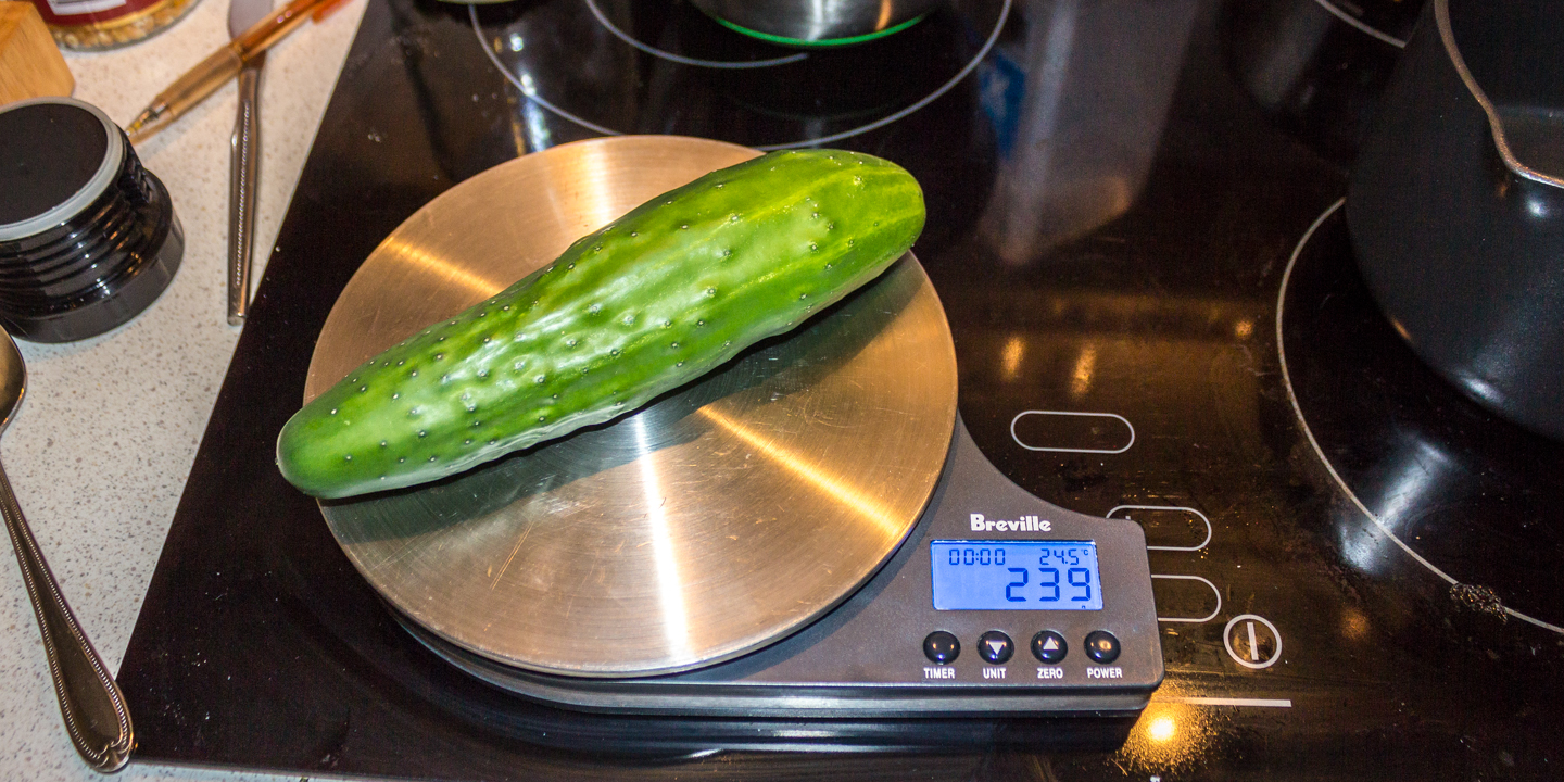 06/01/16 Home grown cucumber harvest at 239g
