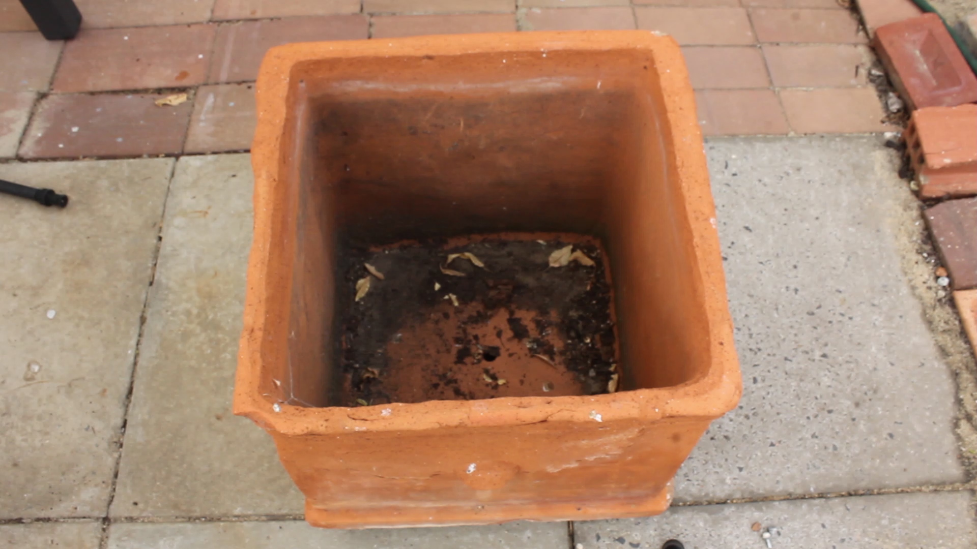 The pot I want to plant my bay Tree into. Internal Width: 380 mm Lengh: 375 mm Depth: 360 mm