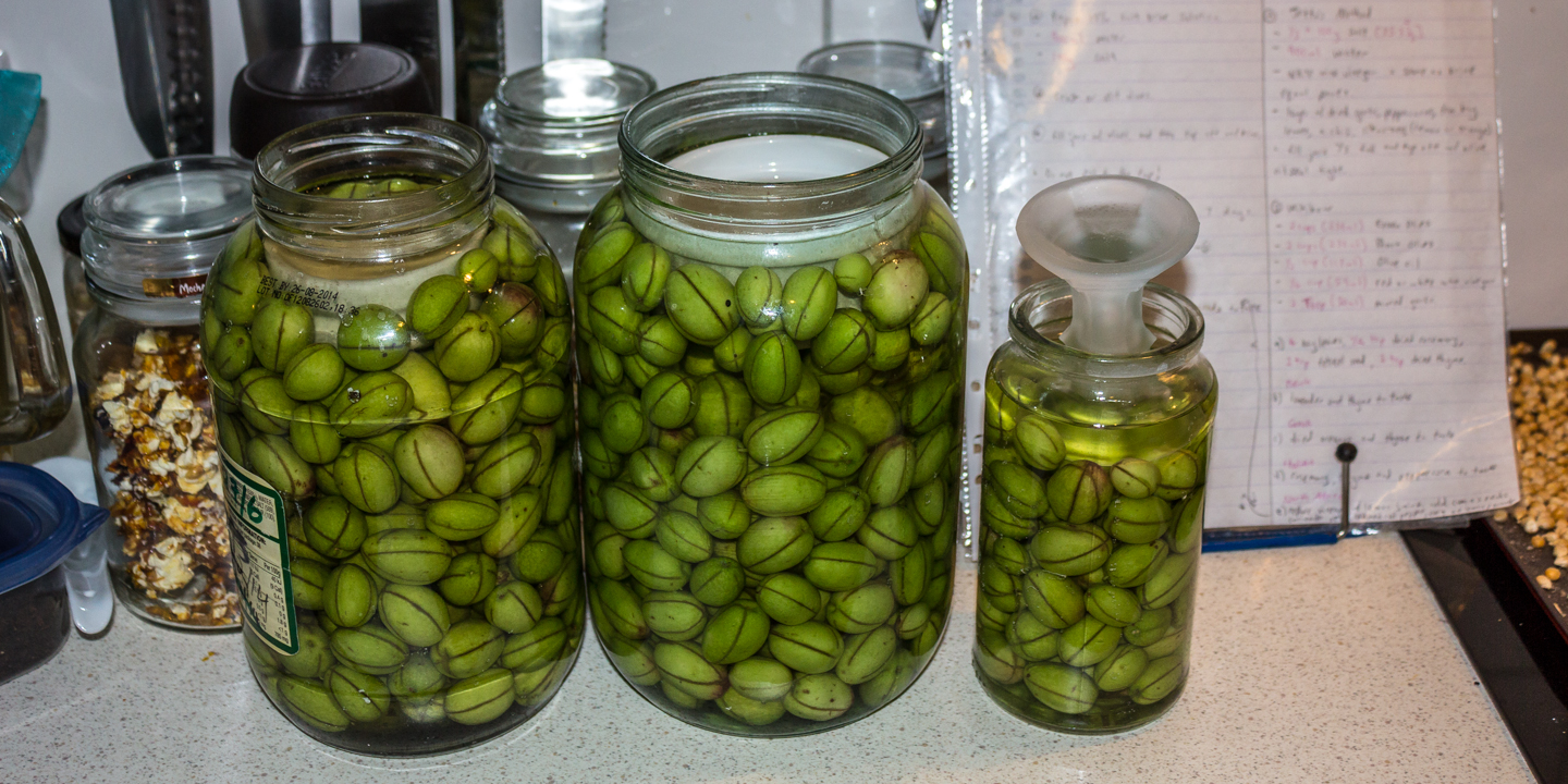The green olives in a salt brine