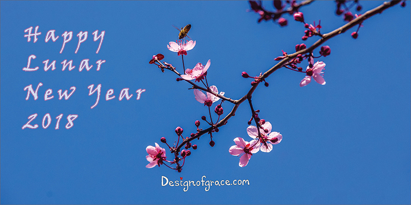 Blue sky with pink cherry blossoms with words Happy Lunar New Year