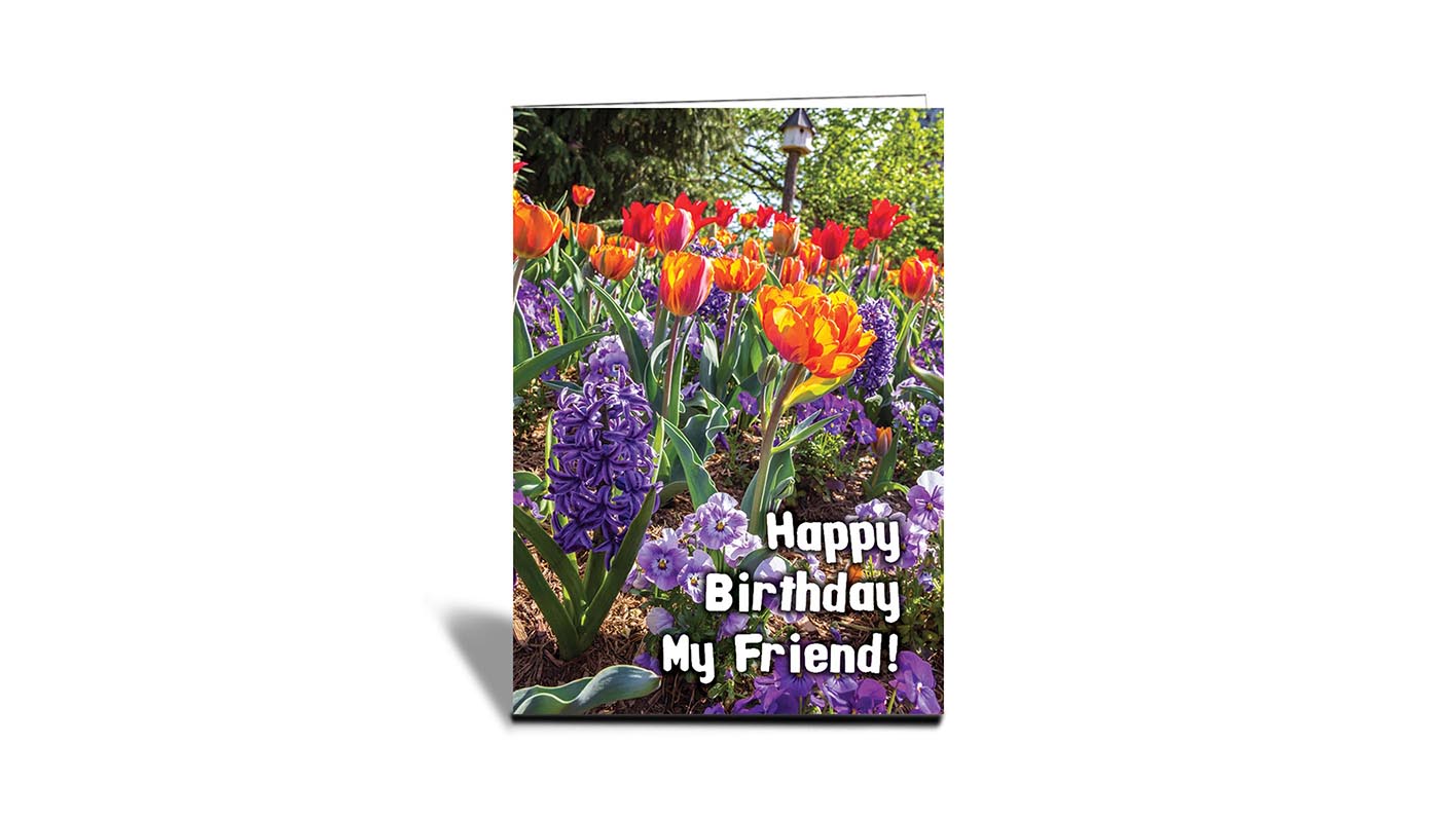 C03 Mixed flowers with tulips, Washington DC, USA | Nature | Inspirational Photo Greeting Cards With Text | Happy Birthday My Friend