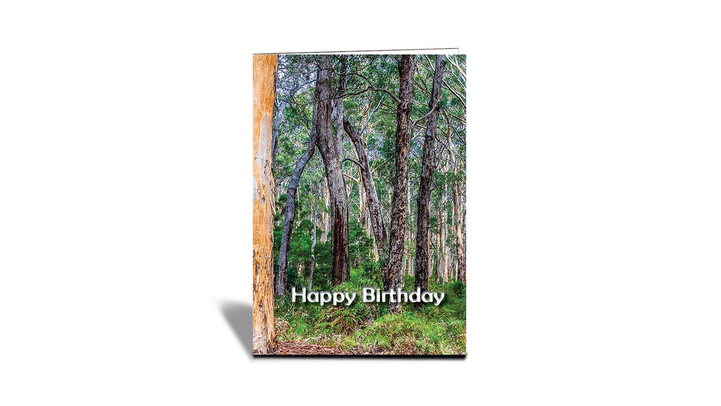 C04 Boranup Karri Forest, Western Australia | Nature | Inspirational Photo Greeting Cards With Text | Happy Birthday