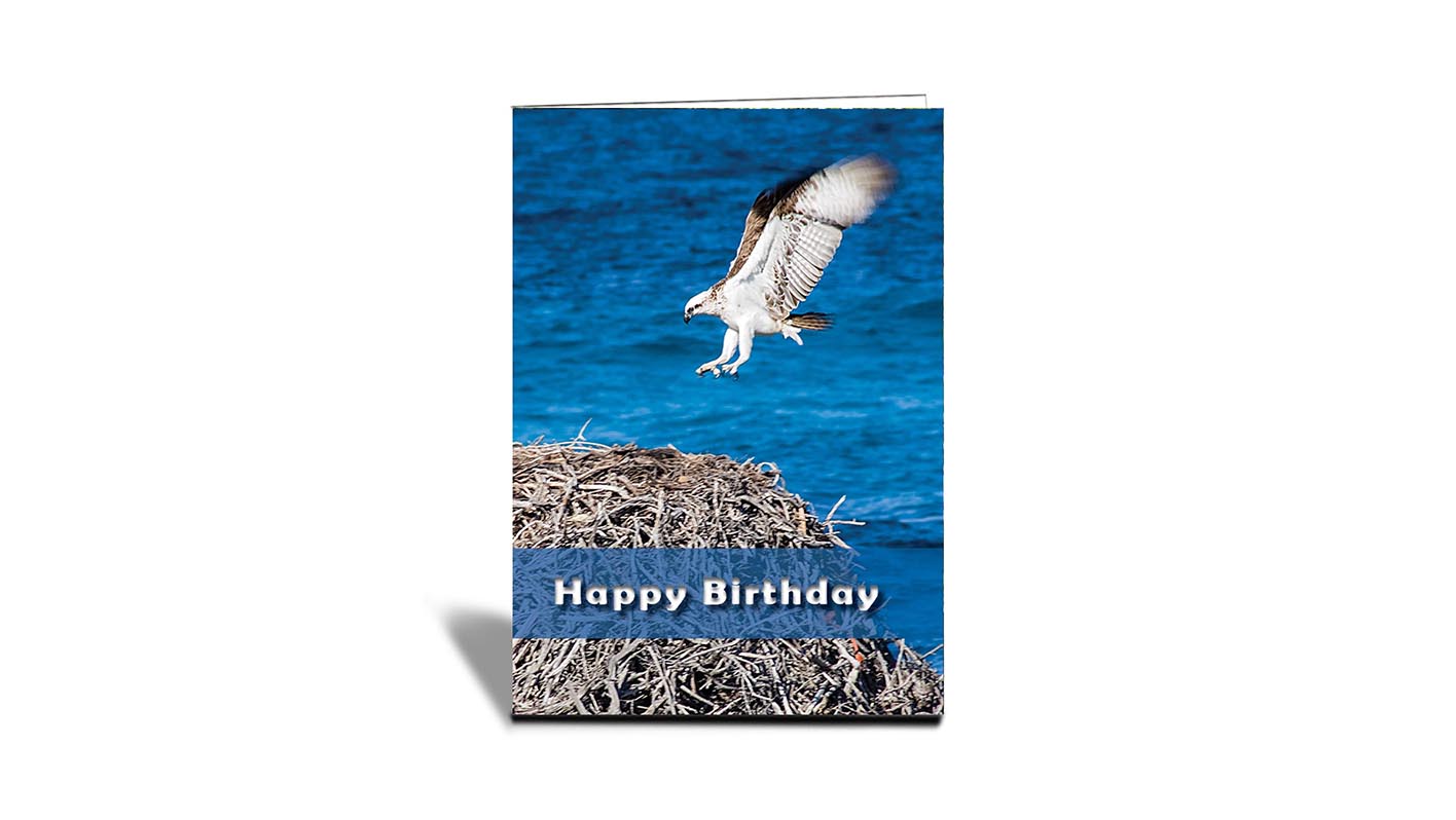 C07 Osprey Flying to Nest,Rottnest Island, WA | Nature | Inspirational Photo Greeting Cards With Text | Happy Birthday