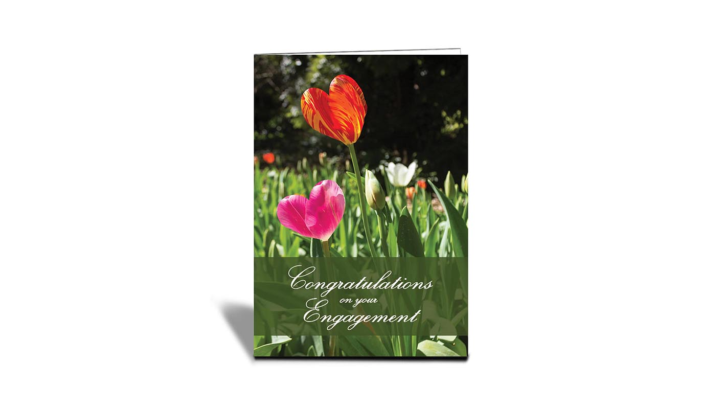 C12 Mixed Pink and flame Coloured Tulips, Araluens, Perth, WA | Nature | Inspirational Photo Greeting Cards With Text | Congratulations on your engagement