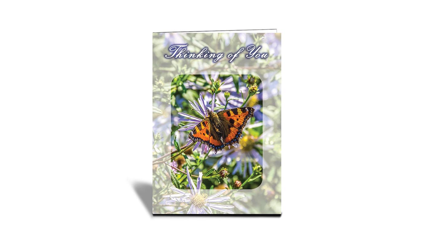 C24 Butterfly, Hamburg, Germany | Nature | Inspirational Photo Greeting Cards With Text | Thinking of You