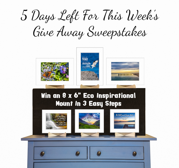 5 Days left for this week's giveaway sweepstakes with the Eco mounts on a blue dresser on black risers