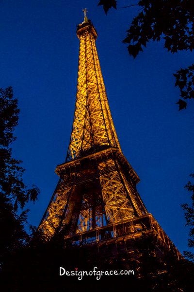 Eiffel Tower lit up at night, Paris, France in the middle of the frame with silhouette of a tree with leaves on a dark blue sky