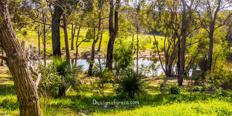 view from lot 80 of Meelup brook and green native plants, Eagle Bay, Western Australia