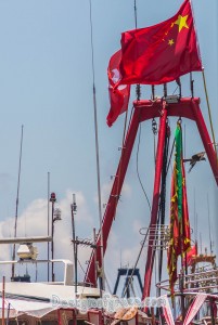 A close up of a Chinese boat and a bird of prey flying in between one of the poles
