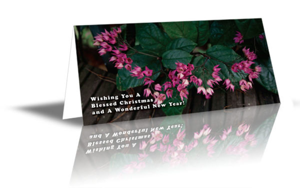 Pink Flowers design saying "Wishing You A Blessed Christmas and A Wonderful New Year!"