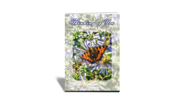 Thinking of You Butterfly Greeting Card