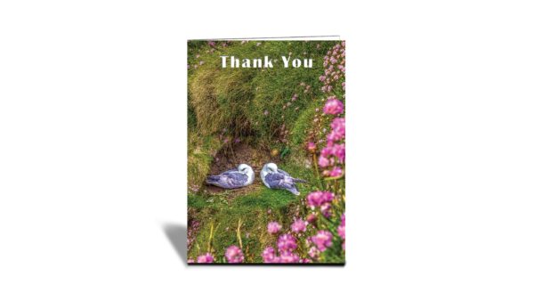 Thank You A Pair of birds on the cliff side Greeting Card