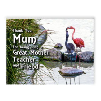 A pink Flamingo mum feeding her baby in the water with green reeds on the left, Zoologisk Museum, Copenhagen, Denmark Inspirational Mount with the words "Thank You Mum For being such a Great Mother, Teacher and Friend"